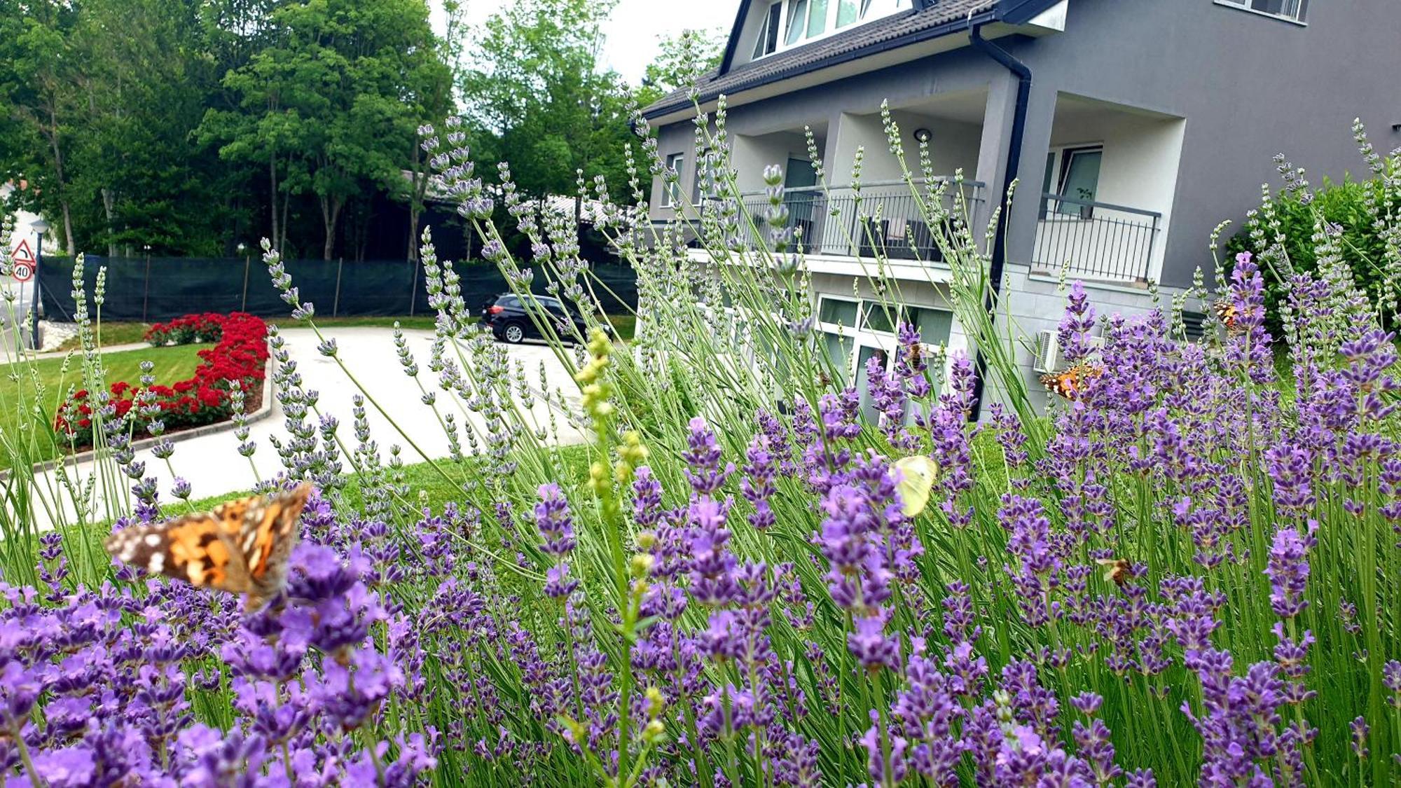 Apartmani Sanja Krapinske Toplice Dış mekan fotoğraf